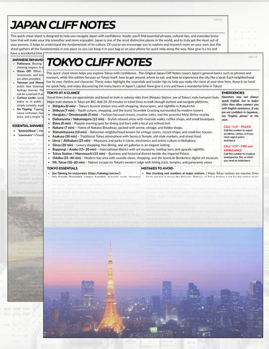 Japan + Tokyo Cliff Notes Bundle
